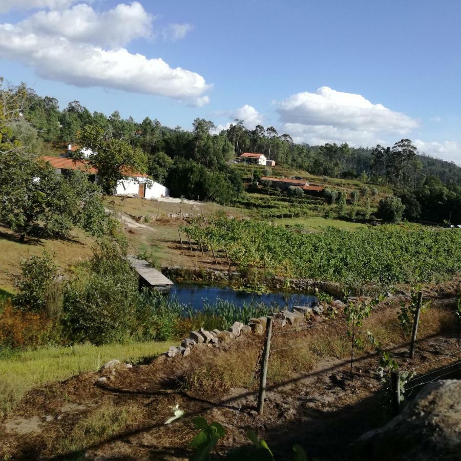 Apartamento Casa Na Quinta De Valinhas Vitorino dos Piães Exterior foto